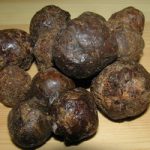 propolis