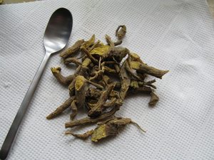 tarczyca bajkalska