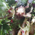 salata